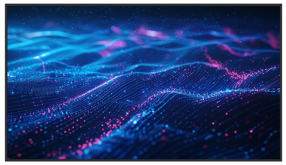 Profesionalni monitor Newline DSX Series - DSX 43